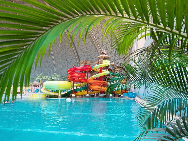 Jungle Splash: water playground
