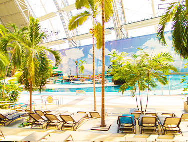 Tropischer Regenwald mit verschiedenen leuchtenden Figuren, Sambatänzern und Menschen am Abend.