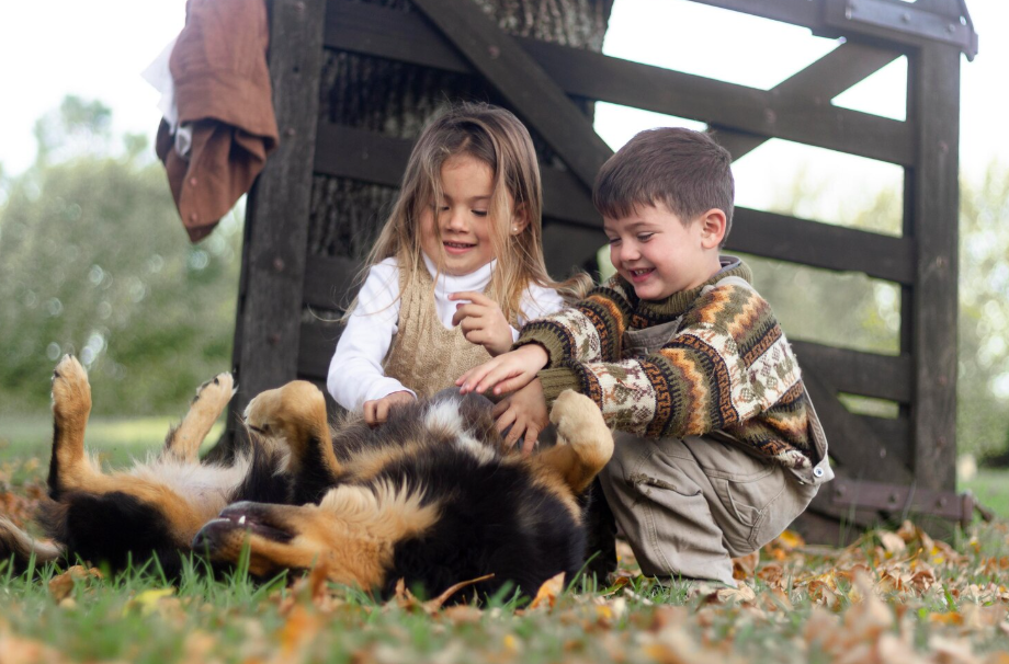 Ausflugsziele mit Kindern in Brandenburg: Spaß und Abenteuer für die ganze Familie