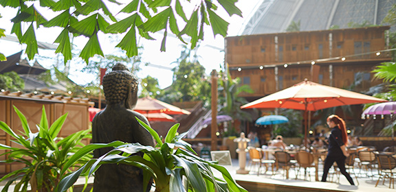 Sawadee Essenbereich mit Tischen, bunten Schirmen, Pflanzen und einer Buddha-Statue.