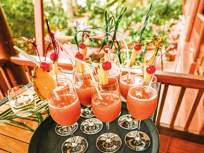Acht Cocktails auf einem Tablett mit Ananas, Kirsche und dekorativen Stäbchen vor einem grünen Hintergrund.