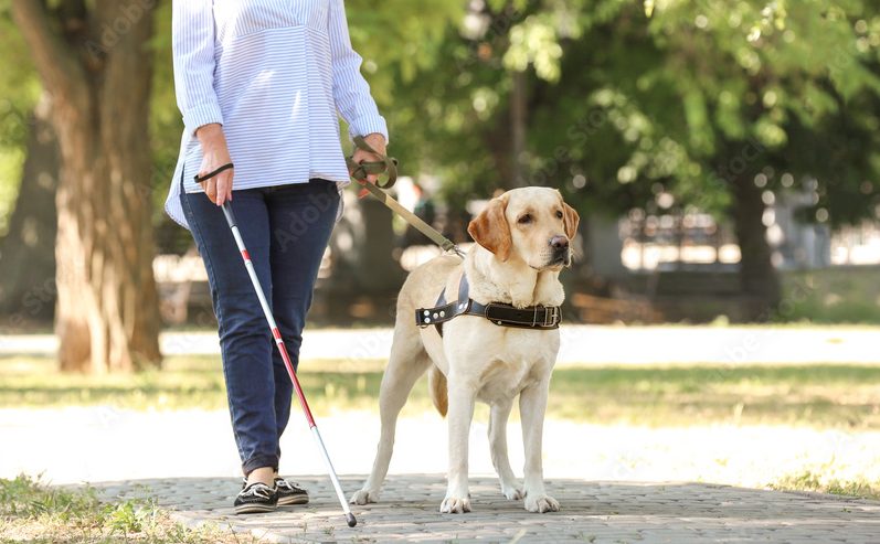 Frau mit Blindenhund