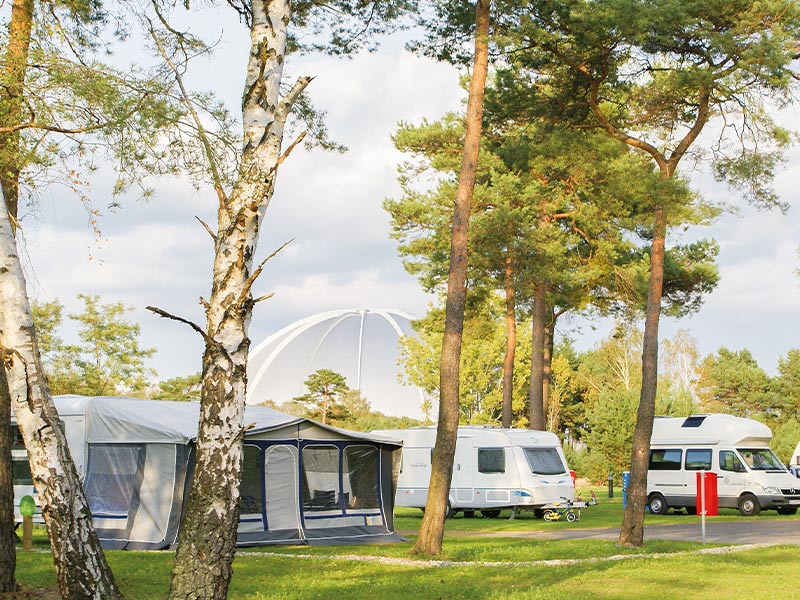 Campingplatz mit Wohnwagen, Zelten und weißer Kuppel im Wald bei Sonnenschein.