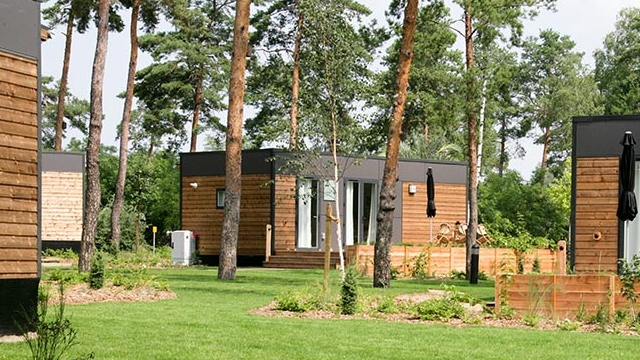 Mehrere moderne Woodland Homes mit großen Fenstern in einem bewaldeten, gepflegten Gartenbereich