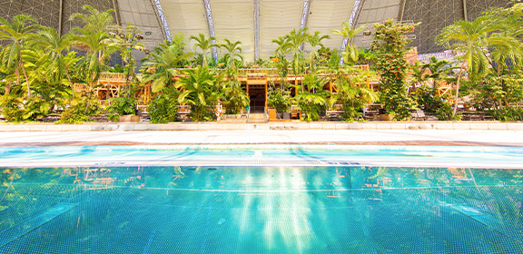 The South Seas with tropical plants and trees under a high hall construction.