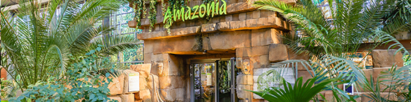 Entrance to ‘Amazonia’ with stone walls and lush tropical planting, signs to the left of the passageway.
