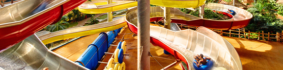 Several colorful water slides with sliding people and green plants in the background
