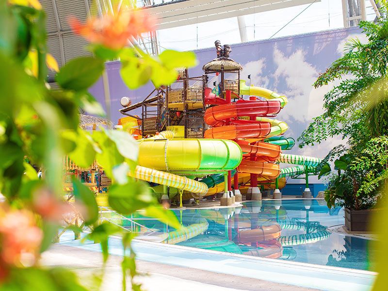 Jungle Splash with colorful slides, tropical plants and sky in the background.