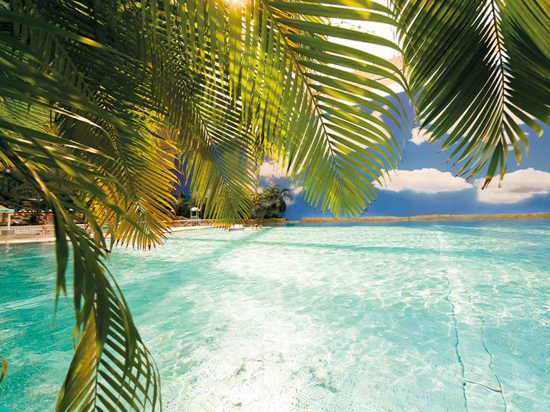 View of turquoise water under palm trees with sunlight and blue sky in the background.