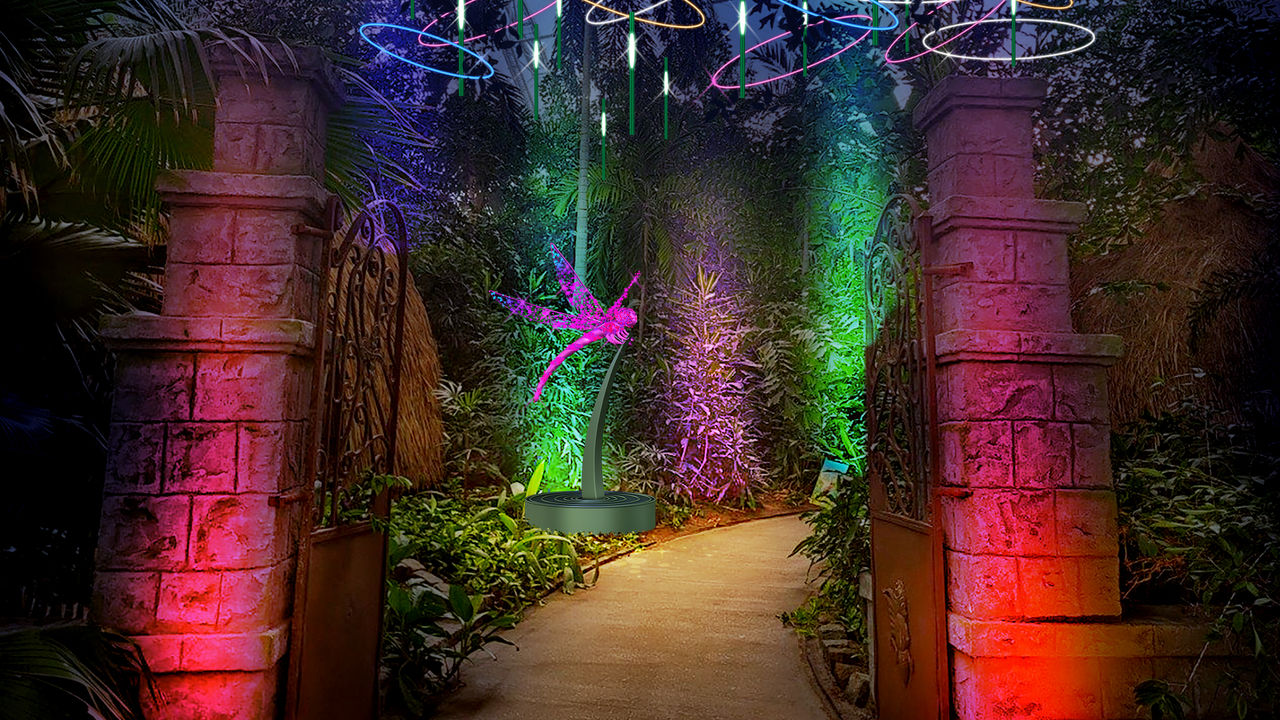 Flying dragonfly at the entrance to the rainforest