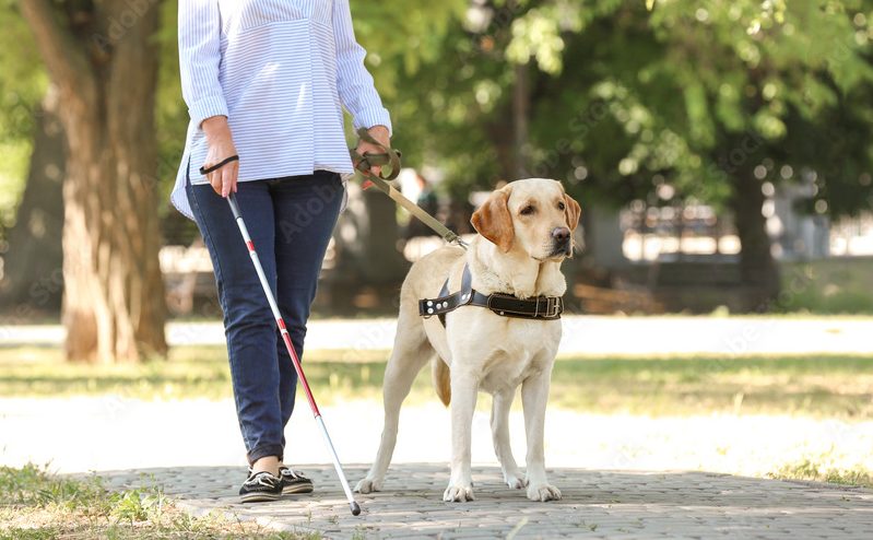 Woman with assistance dog