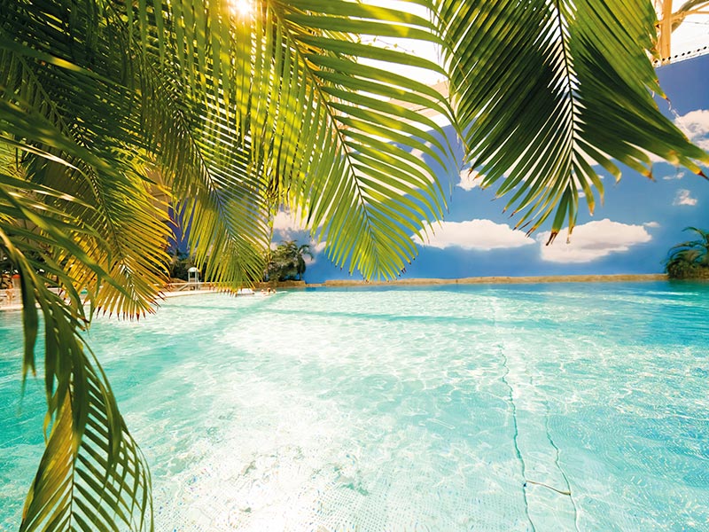 South Sea water area with a sandy beach and green palm trees.