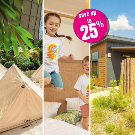 Flash Sale 25%