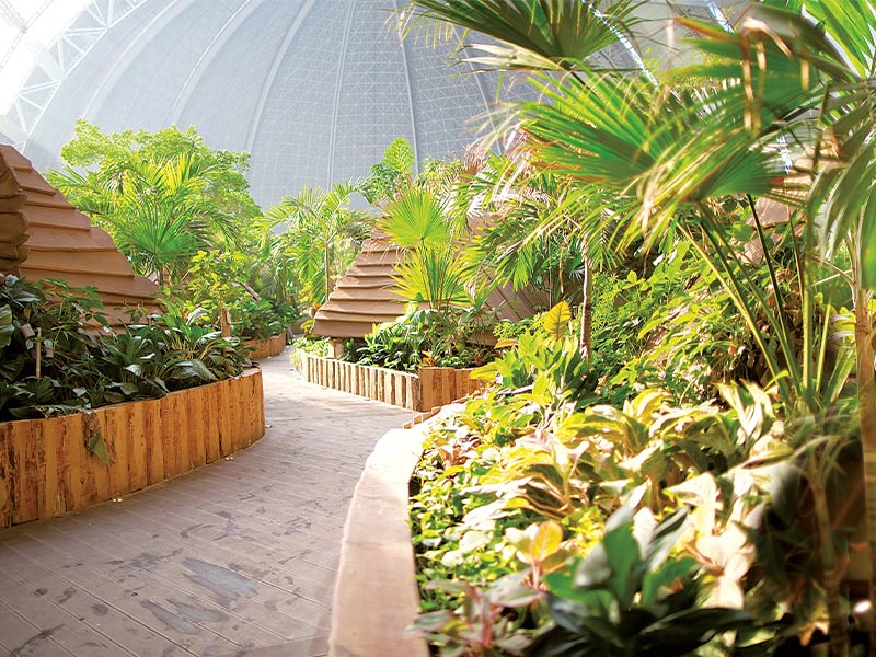 Premium tents out of wood in a tropical indoor setting.